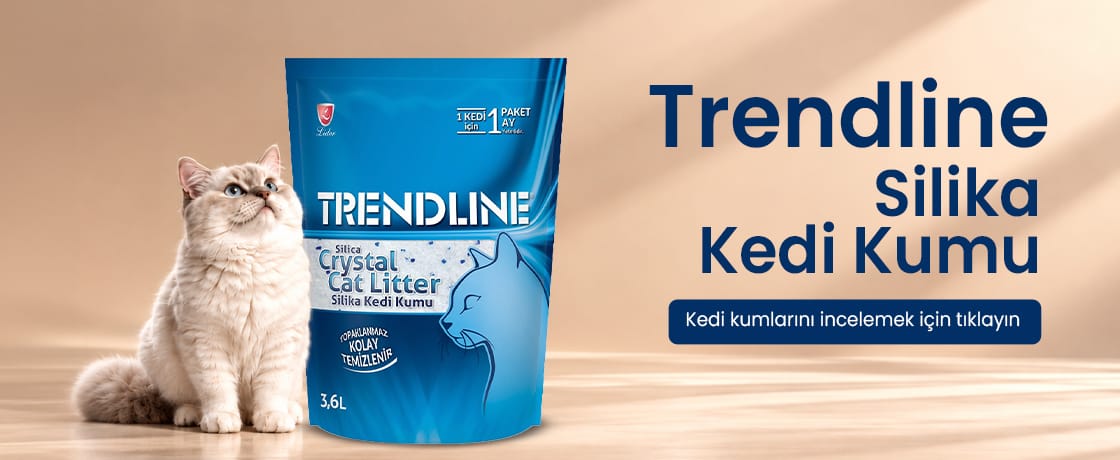 Trendline Silika Kedi Kumu