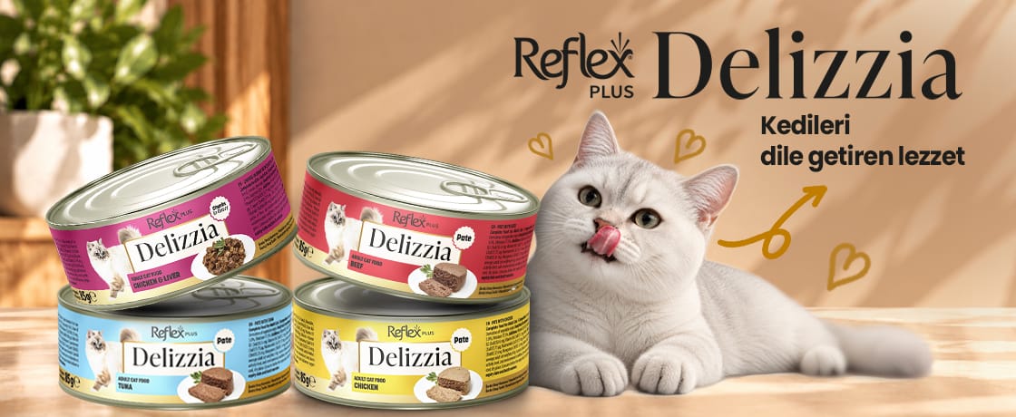 Delizzia