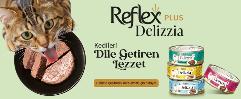 Delizzia