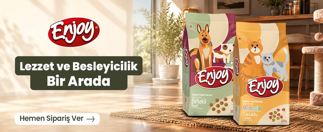 Enjoy