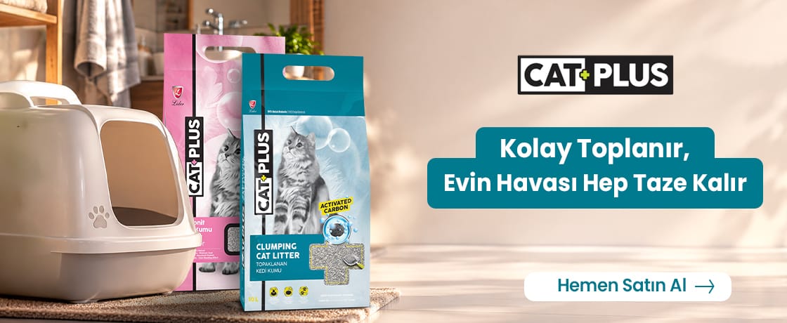 CatPlus Kum