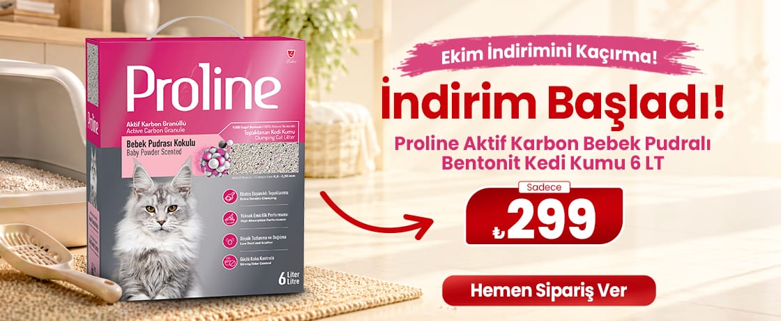 Kum 299 TL