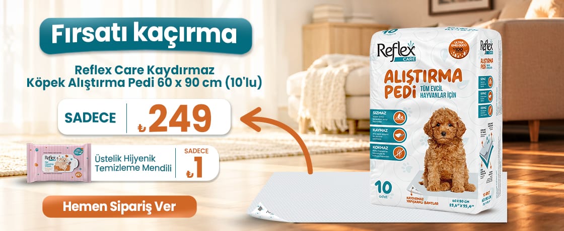 Alıştırma Pedi