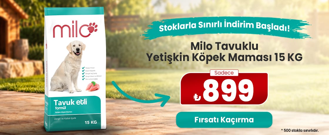 Milo Köpek