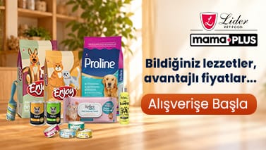 Kampanya görseli