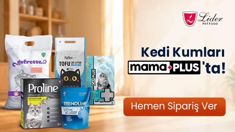 Kampanya görseli