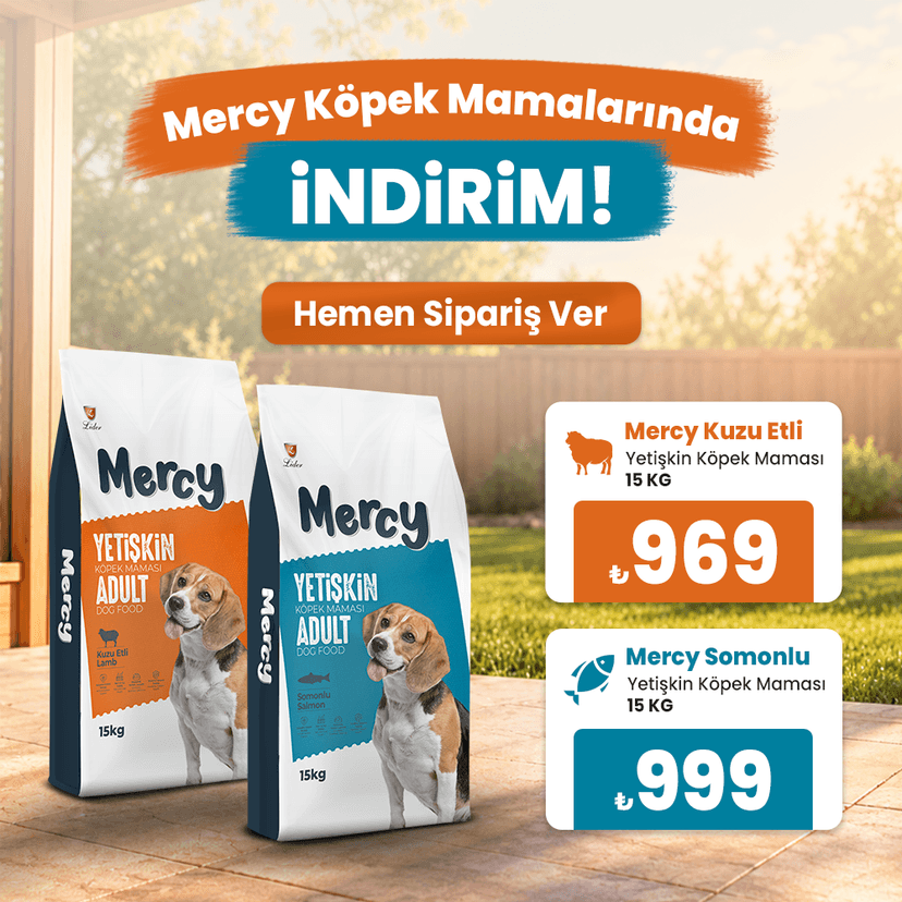 Mercy Köpek