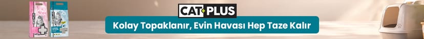 CatPlus Kum