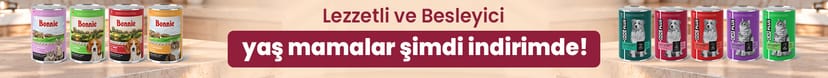 Yaş Mamalar