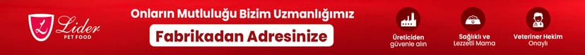 Lider