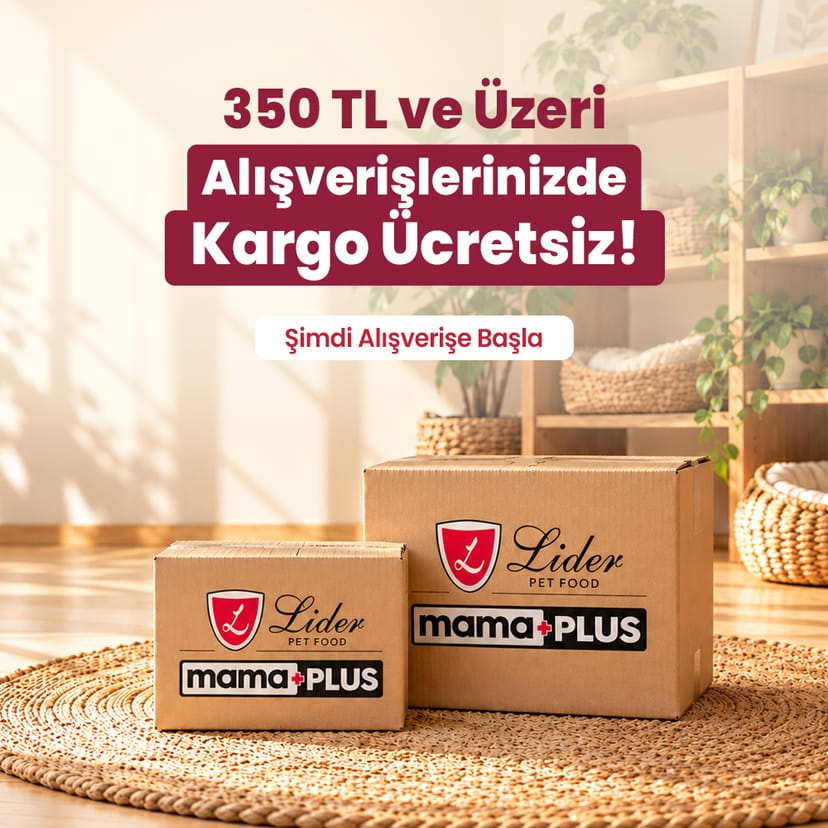 Kargo Bedava