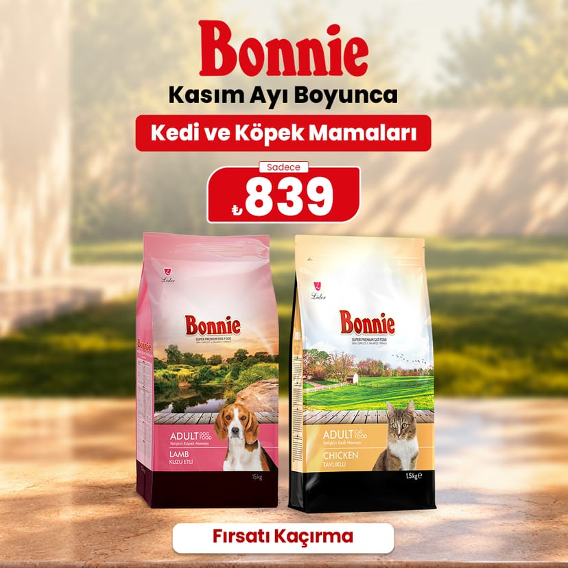 Bonnie Kasım Ayı