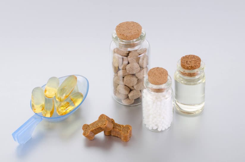 Çiğnenebilir Takviyeler Köpeğiniz İçin Daha Mı İyi?