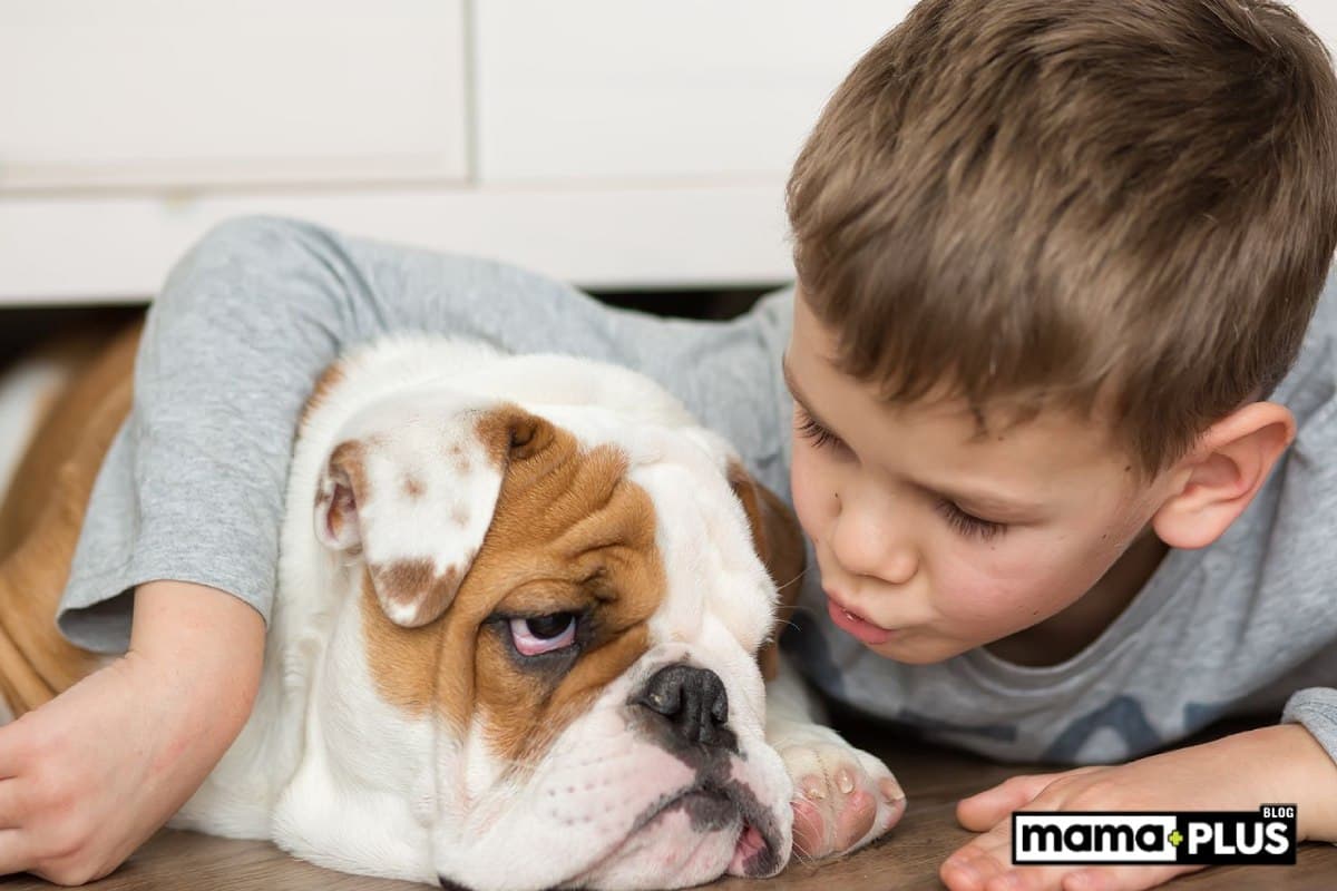 Çocuk Dostu Köpek Irkları İçin Mama Tavsiyesi
