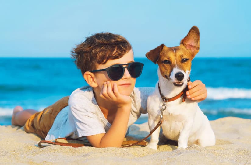 Çocuklu Aileler İçin En İyi Köpek Irkları