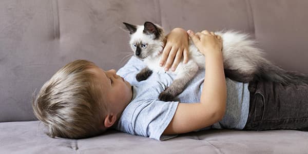 Hayatlarının Tüm Aşamalarında için Kedi Sağlığı