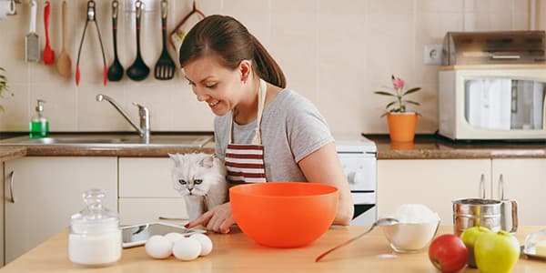 Kediler Neden Yüksek Protein Diyetine İhtiyaç Duyar?