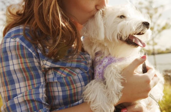 Köpeklerden Alabileceğimiz 5 Hayat Dersi