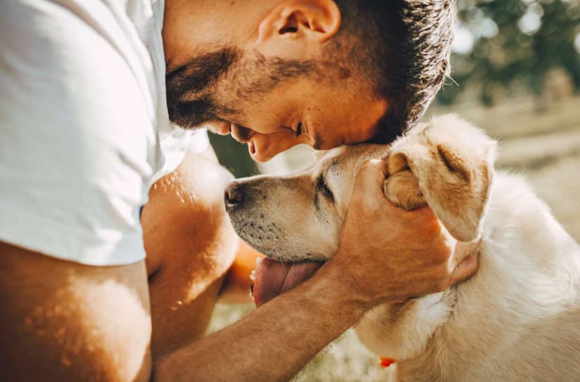 Sadık Dostlarımız İle İlgili 12 İlginç Bilgi