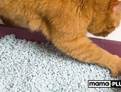 Aktif Karbonlu Kedi Kumu Nedir?