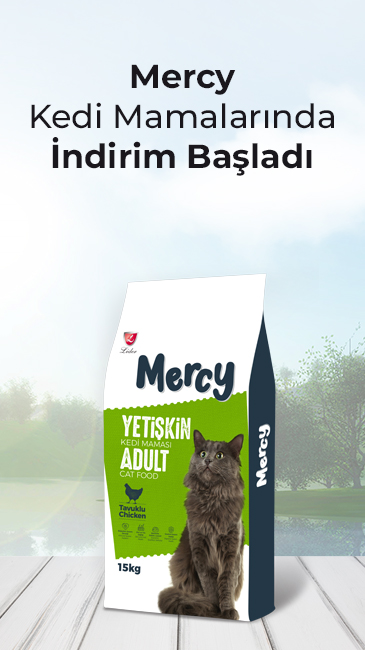 Kedi Mamaları