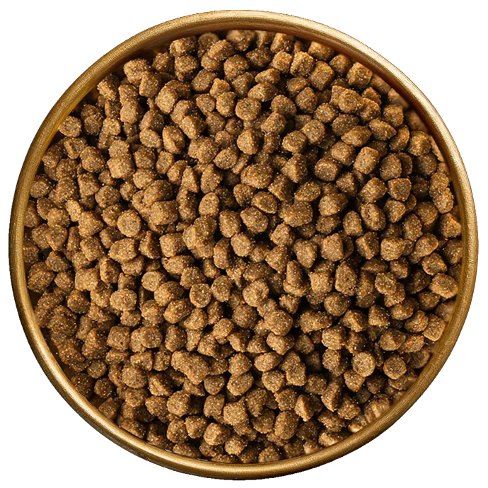 Mama Plus Prive Mama