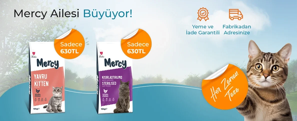 Mercy Ailesi Büyüyor!