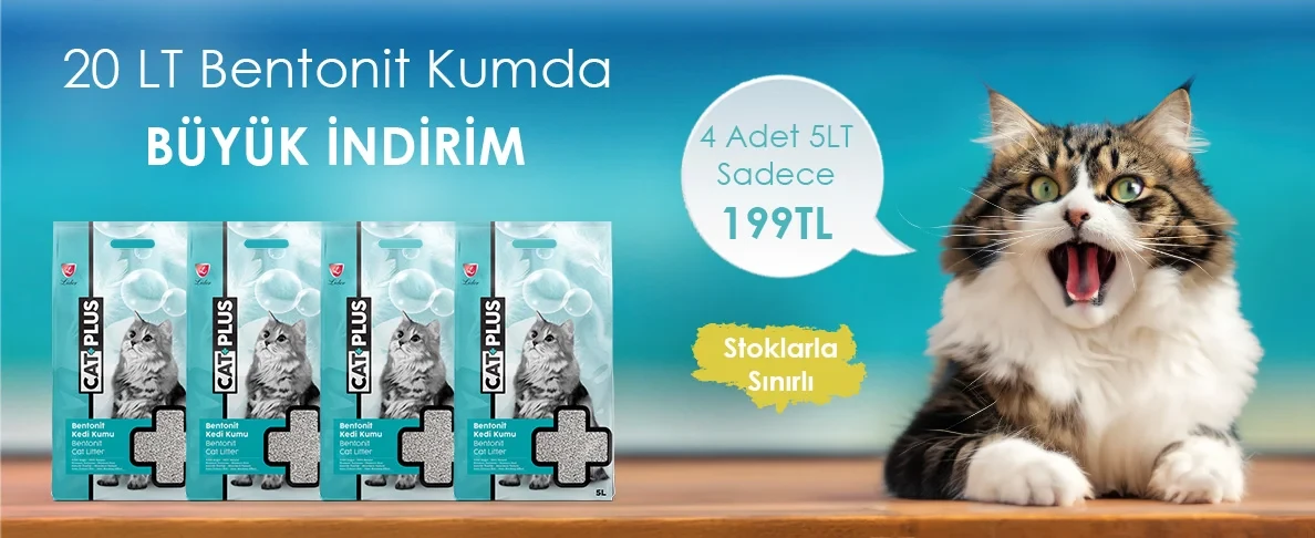 Kedi Kumlarında Yaz İndirimi!