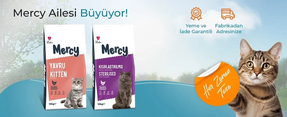 Mercy Ailesi Büyüyor!